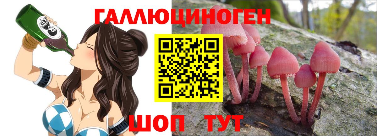 Галлюциногенные грибы мицелий  Галлюциногенные грибы GOLDEN TEACHER  Вход с VPN  Зерноград 